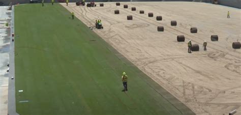 Grass turf laid at Allegiant Stadium | Stadia Magazine