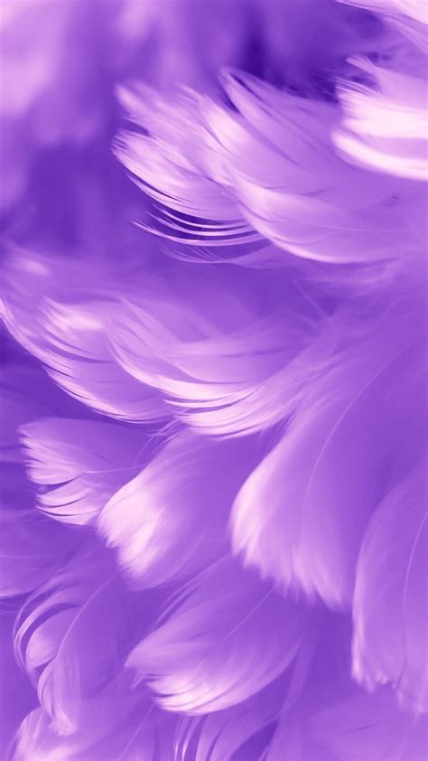 Purple Feathers Wallpapers - Top Free Purple Feathers Backgrounds ...