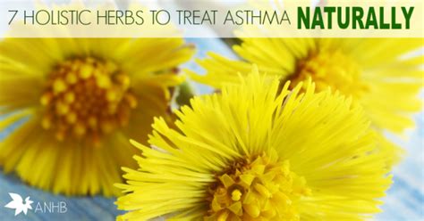 7 Holistic Herbs to Treat Asthma Naturally - Updated For 2018