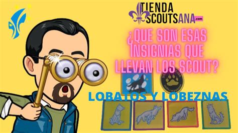 INSIGNIAS PROGRESION MANADA LOBATOS Y LOBEZNAS CADA UNA DE SUS