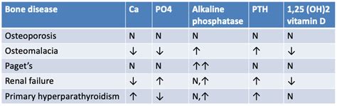 Metabolic Bone Conditions Diagram | Quizlet