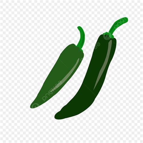 Green Chili Peppers Vector Hd PNG Images, Big Green Chilies Design ...