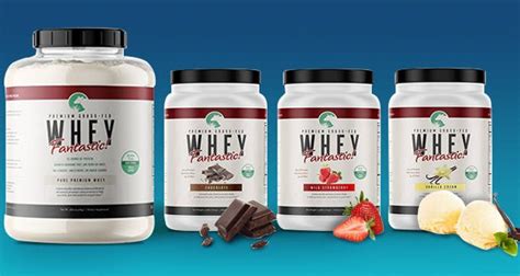 FREE Sample Of Whey Fantastic Protein Shake Free Samples Hub