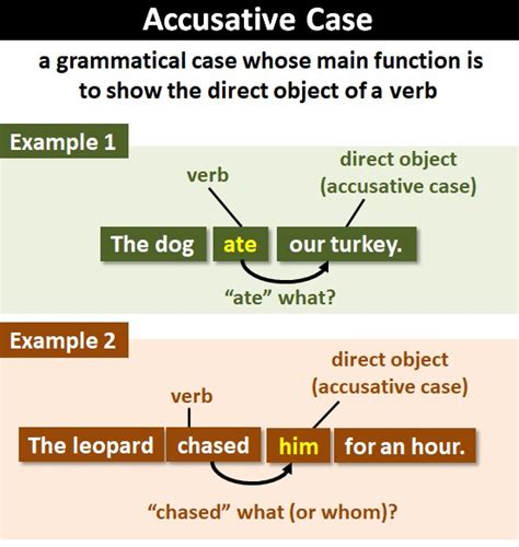 Accusative Case