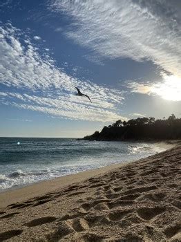 Kostenlose Hintergrundbilder Meer Wasser Strand Physik Wissenschaft