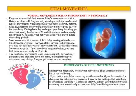 Fetal movement chart