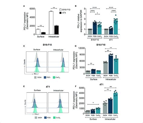 P2Et Treatment Modulates The Expression Of PD L1 On B16 F10 And 4T1