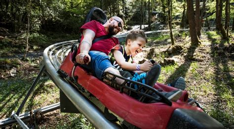 Zip World Fforest | Visit Snowdonia