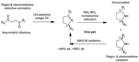 Catalysts Free Full Text Application Of Enzymes In Regioselective