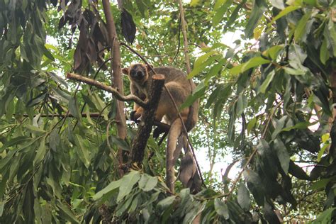 Walkabout Creek Discovery Centre