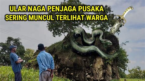 Viral Makam Pusaka Diatas Bukit Yang Dijaga Ular Naga Raksasa Youtube