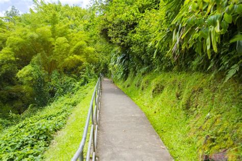 Akaka Falls State Park - Jeffsetter Travel