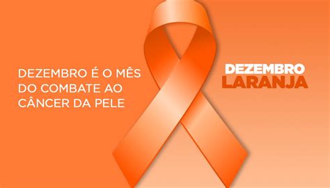 Dezembro laranja alimentos que ajudam na prevenção do câncer de pele