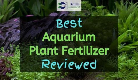 Best Aquarium Plant Fertilizer - Top 7 Review | Aqua Movement