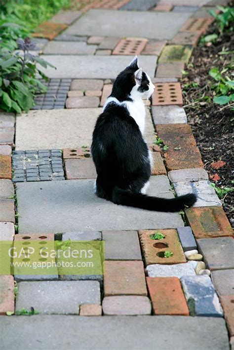 Beginners Guide To Paving Pathways