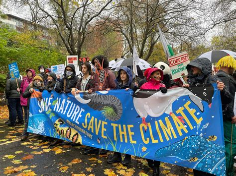 What is COP30 and why are we here?