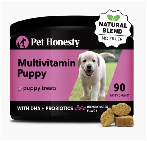 11 Immunity Dog Supplements with Real Boosting Power - Vetstreet ...