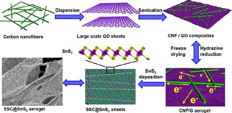 Figure 1 From Hierarchical Carbonsns2 Aerogel With Skeletonskin