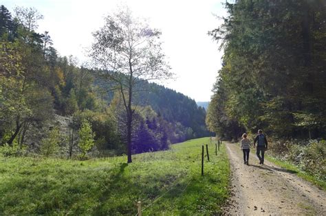 Zwei Burgen Pfad Münstertal Badische Zeitung TICKET