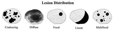 Coral Disease Coral Disease Health Consortium