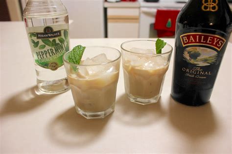 Peppermint Schnapps Drink Recipes | Dandk Organizer