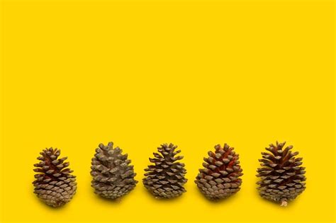 Premium Photo | Pine cones on a yellow background with copy space