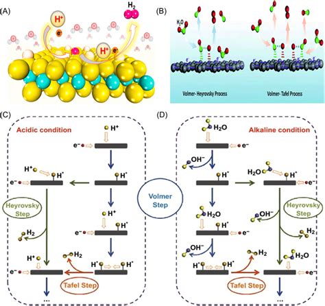 (A) The hydrogen evolution reaction (HER) mechanism in acidic media ...