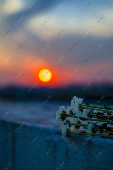 風景夕陽夕陽天台無攝影圖配圖背景圖桌布圖片免費下載 Pngtree