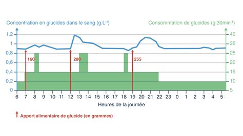 Graphique En Svt Décrire Un Graphique En Svt Svt Collège Notre Dame De Comment