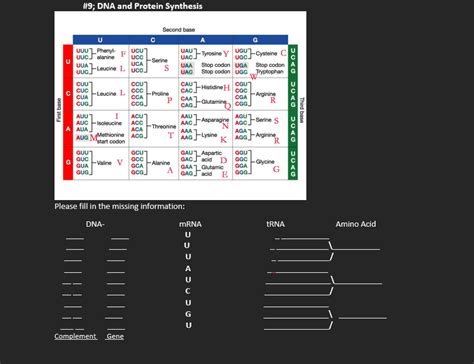 Solved #9; DNA and Protein SynthesisPlease fill in the | Chegg.com 