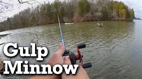 Fishing With A GULP Minnow In Winter Float Or Drop Shot YouTube