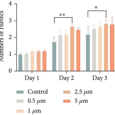 MDL 800 Promotes Proliferation In HUVECs And HDFs In Vitro A C EdU