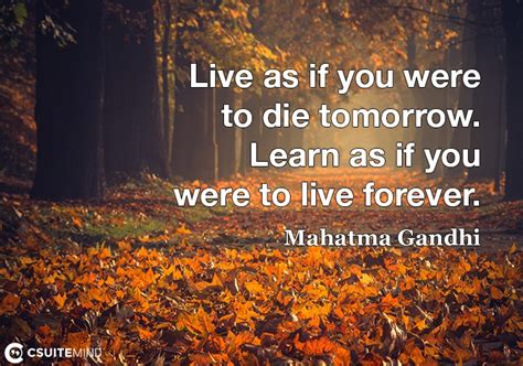 Quote : Live as if you were to die tomorrow. Learn as if you were to live forever.