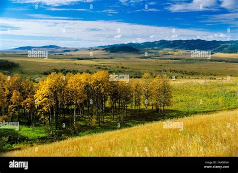 Longview alberta hi-res stock photography and images - Alamy