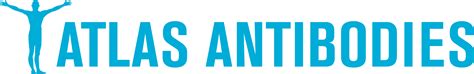 Atlas Antibodies | Scientist.com