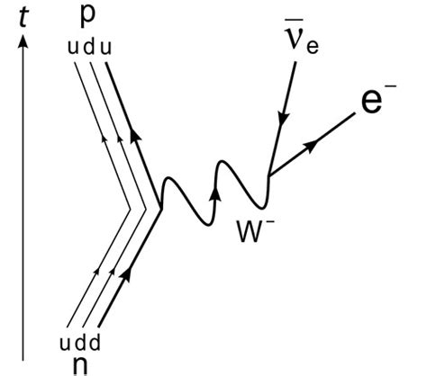 Weak Isospin And The Weakly Interacting Bosons Force Particles