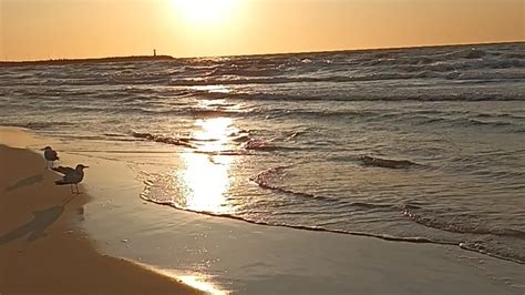 Missjenn X S Sex Videos Recorded Cam Shows Stripchat