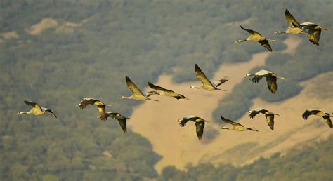 HORCAJO DE LOS MONTES Entreparques tu próxima escapada