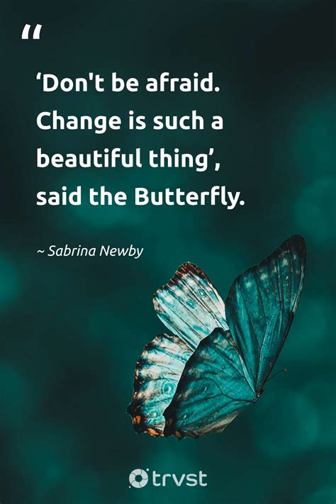 Butterfly Girl Quotes Artofit