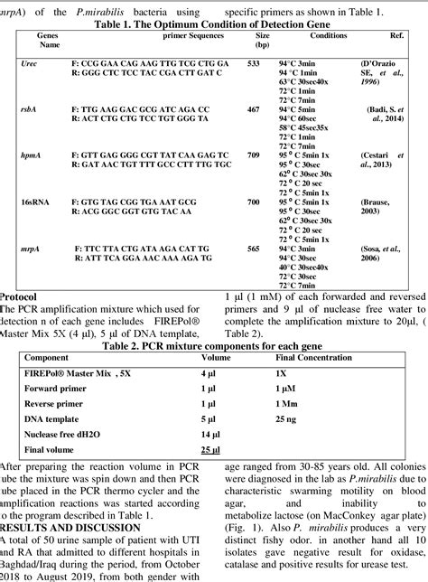 Table 1 From MOLECULAR DETECTION OF UREC HPMA RSBA AND MRPA GENES OF