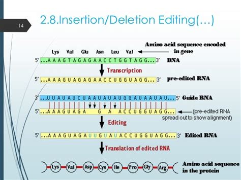 RNA editing