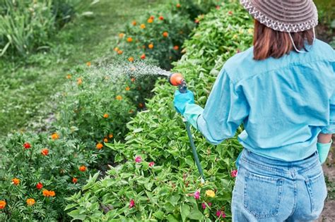 Mujer Regando Plantas Rociando Agua Sobre La Hierba En El Patio Trasero