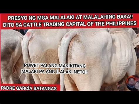 Presyo Ng Mga Malalaki At Malalahing Baka Dito Sa Cattle Trading