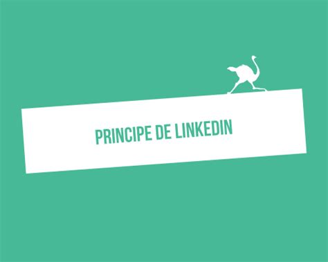 Linkedin C Est Quoi Et Quoi A Sert