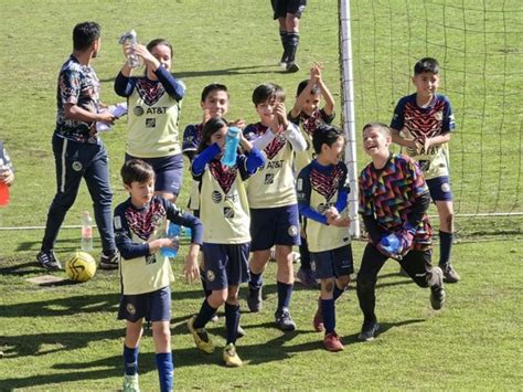 Escuela De Fútbol Del Club América Nido Águila Ajusco Los Nidos