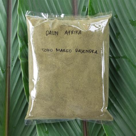 Jual Bubuk Daun Afrika Selatan Sambung Nyawa Isi 500gram Shopee