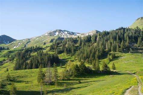 Stoos Ridge Hike Fronalpstock Klingenstock The Photo Hikes