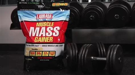 Labrada Muscle Mass Gainer Lbs Kg Packaging Type Pack