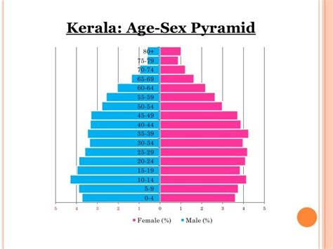 😍 Age And Sex Structure • Population Of The Us By Sex And Age 2017