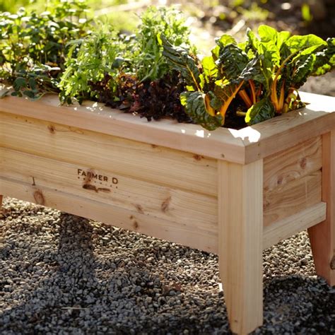 Farmer D Cedar Urban Planter Williams Sonoma